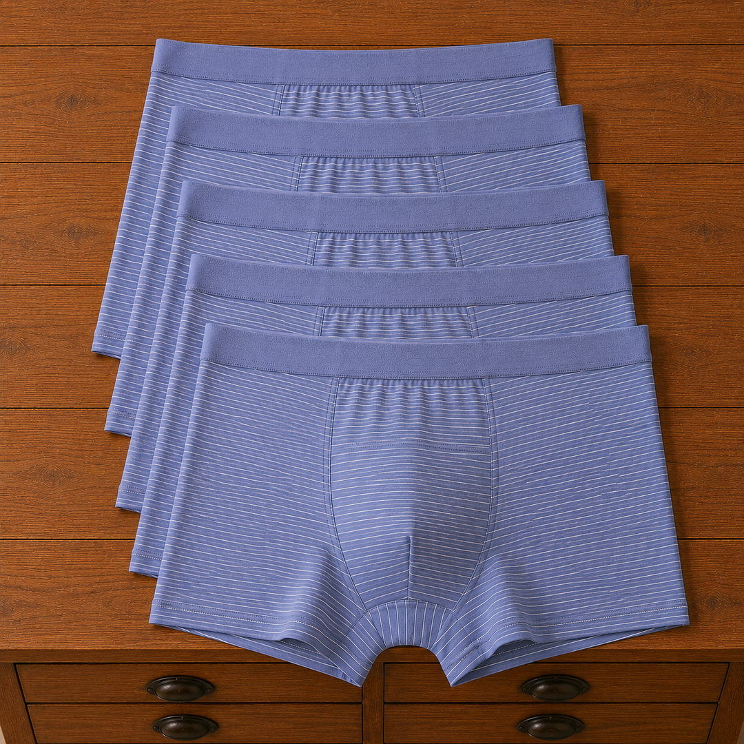 Striped Trunk Boxer Briefs
