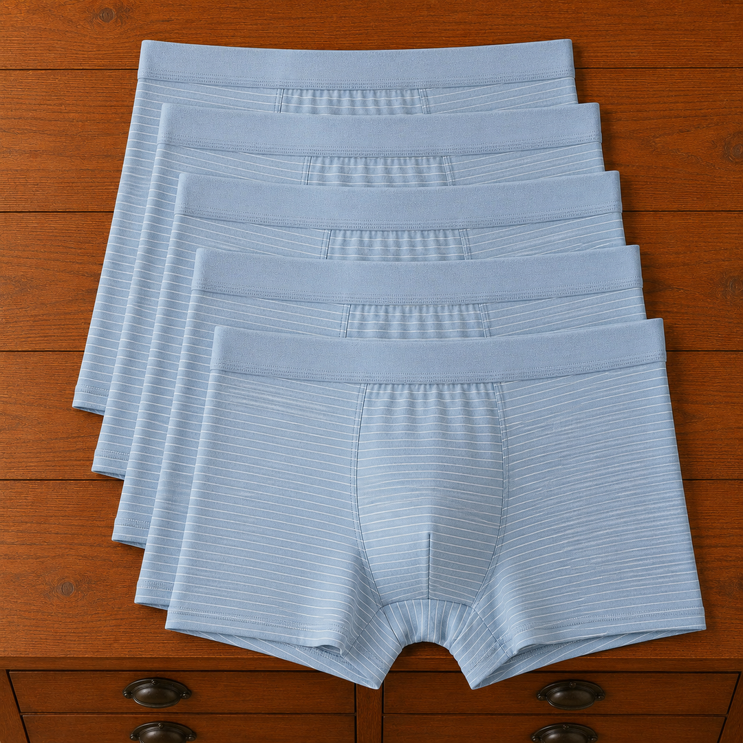 Striped Trunk Boxer Briefs
