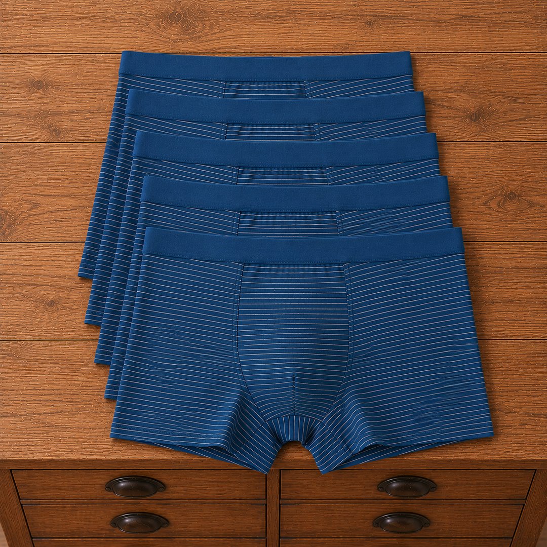 Striped Trunk Boxer Briefs