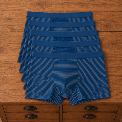 Striped Trunk Boxer Briefs