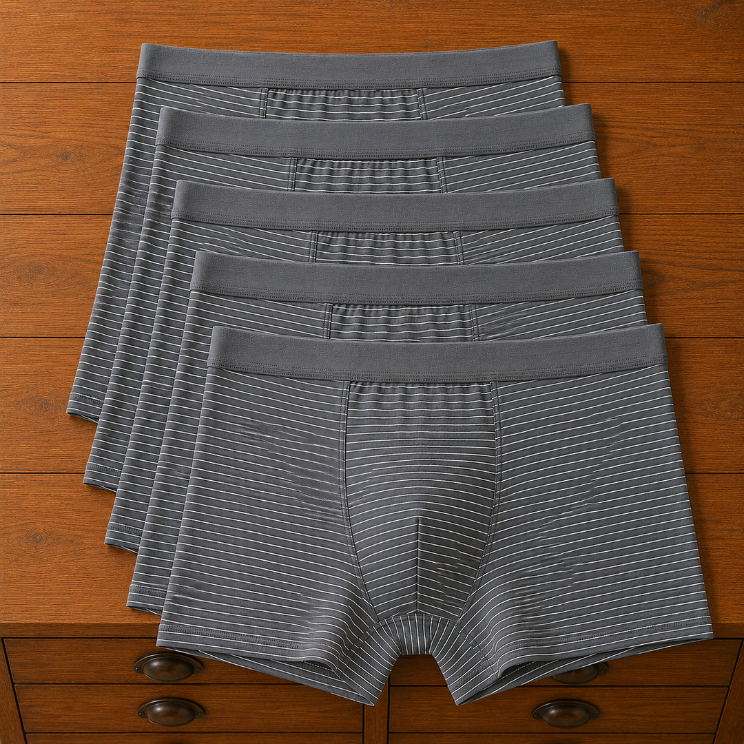 Striped Trunk Boxer Briefs